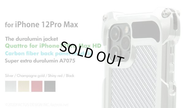 Photo1: Quattro for iPhone12Pro Max HD - Carbon fiber back panel models