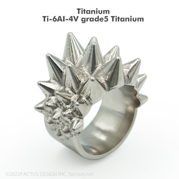 Photo6: 5AXIS Milling Ring Conepeak