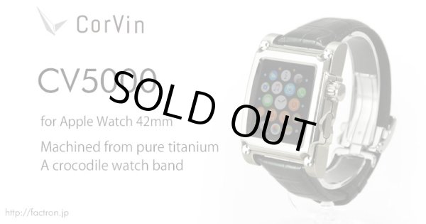 Photo1: Corvin CV 5000 for AppleWatch1 42mm Titanium (1)