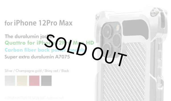 Photo1: Quattro for iPhone12Pro Max HD - Carbon fiber back panel models (1)