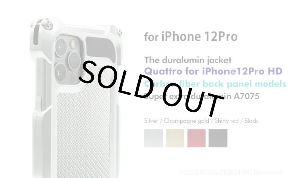Photo1: Quattro for iPhone12Pro HD - Carbon fiber back panel models (1)